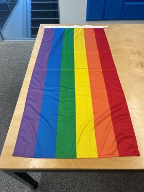 Rainbow Flag - Crane