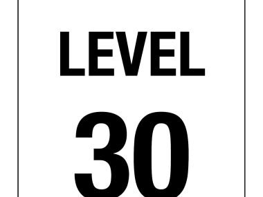 Level Number