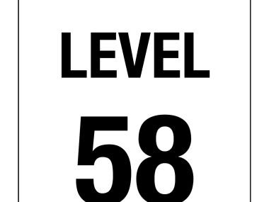 Level Number