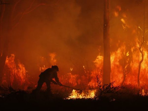 bushfire-1.jpg